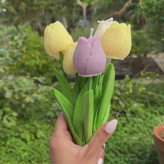Soy wax Flower Candle gift - Tulip Candle on Faux stem - Zensory Candle Co - Video